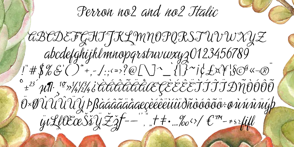 This flexible kit consists of 7 fonts in three basic designs, and when combined Perron No1, No2 and No3 reinforce each others charm.