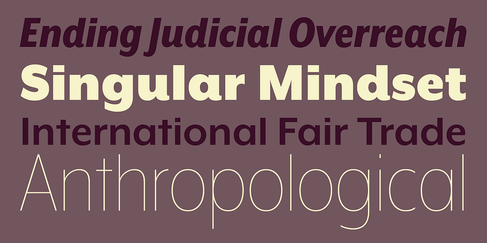 Highlighting the Mr Eaves XL Modern font family.