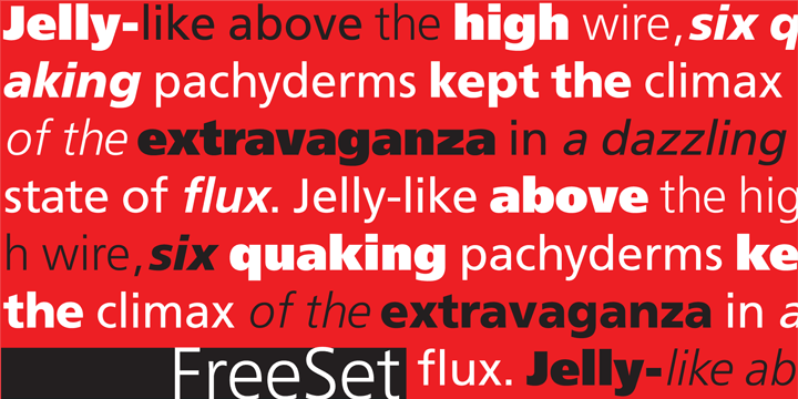 The type family in four basic styles was designed in ParaType (ParaGraph) in 1992 by Tagir Safayev.