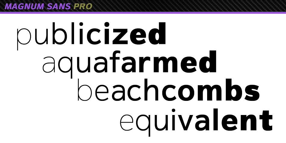 With the stylistic alternates and swash caps in the Pro set you can expand your creativity in logo designing.