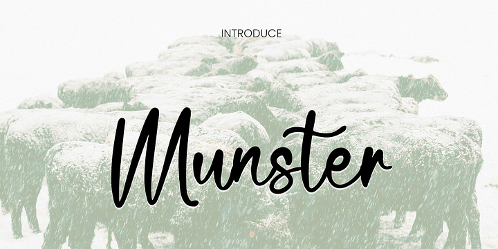 Munster font family by Ayska