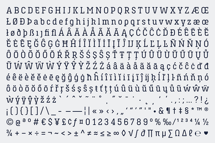 Emphasizing the popular Hansom Slab FY font family.