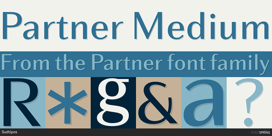 Partner Medium Font