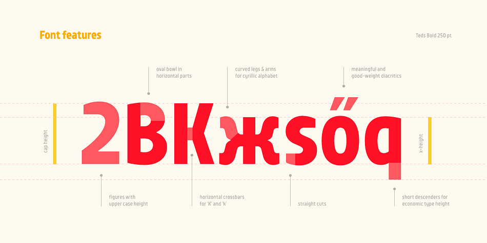 Fonts of the TT Teds font family are adapted for web and mobile applications and any other display media specializing in small-size font imaging.