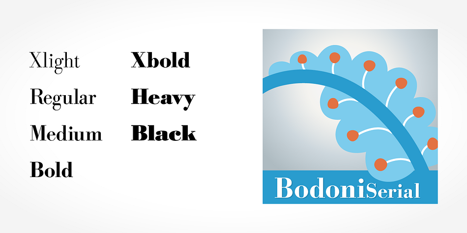 Highlighting the Bodoni Serial font family.