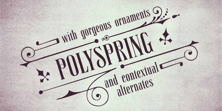Polyspring