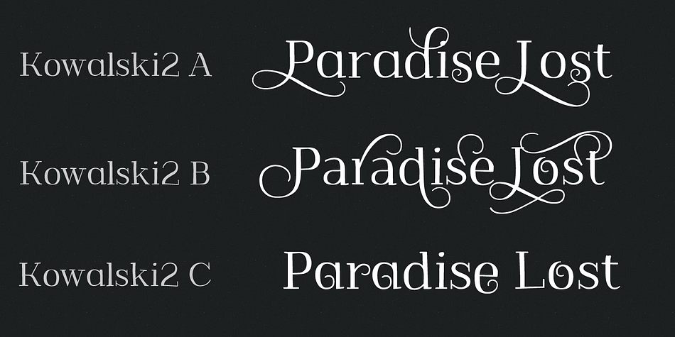 To get the alternate glyph just add "+", "=" or "*" before the letter in any OpenType savvy application or manually select the characters from Glyph Palette.