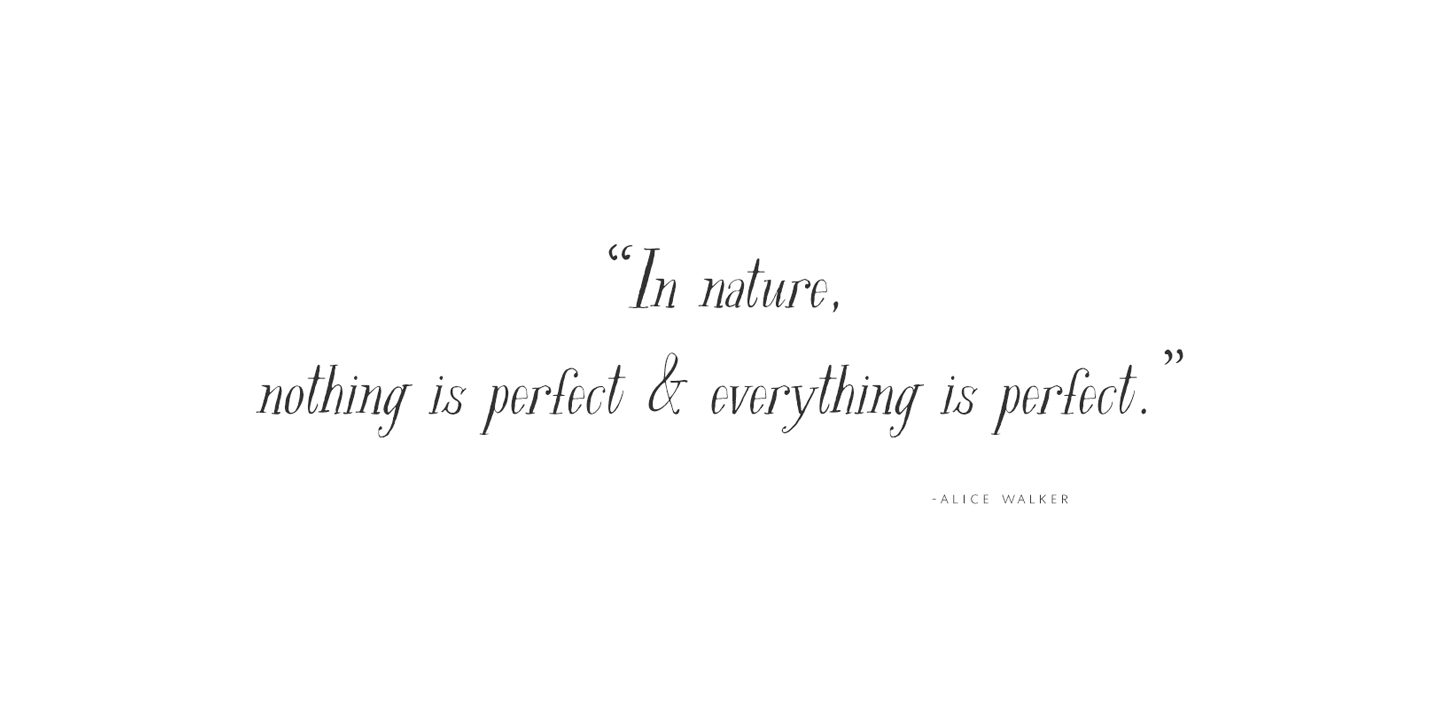 Rare Bird Specimen V Font