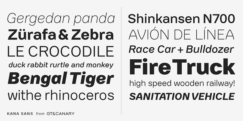 Kana Sans is a versatile sans serif font family that’s ideal for building a contemporary yet timeless brand look.