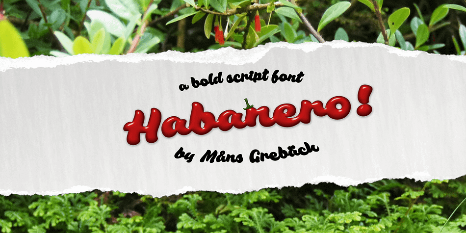 Habanero is a hot, bold and happy typeface.