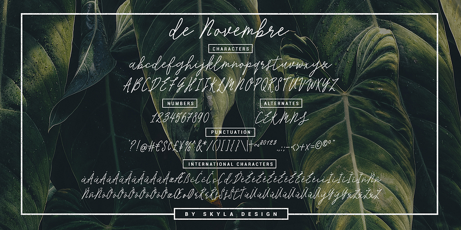 De Novembre font family sample image.