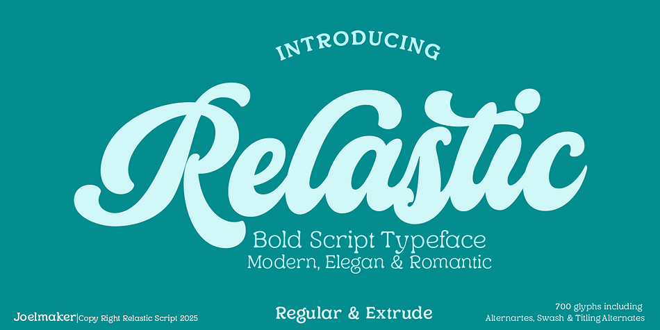 Relastic Script Font