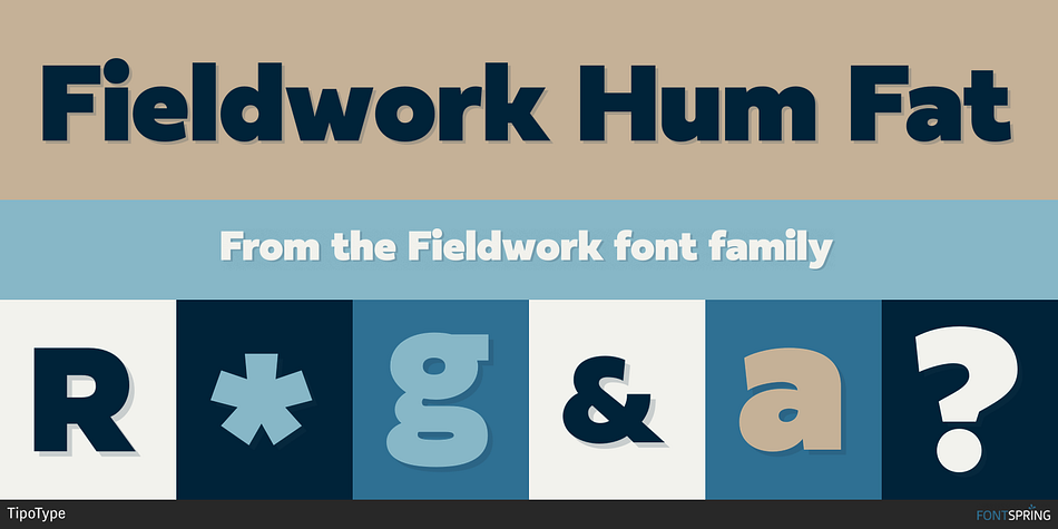 Fieldwork Hum Fat Font