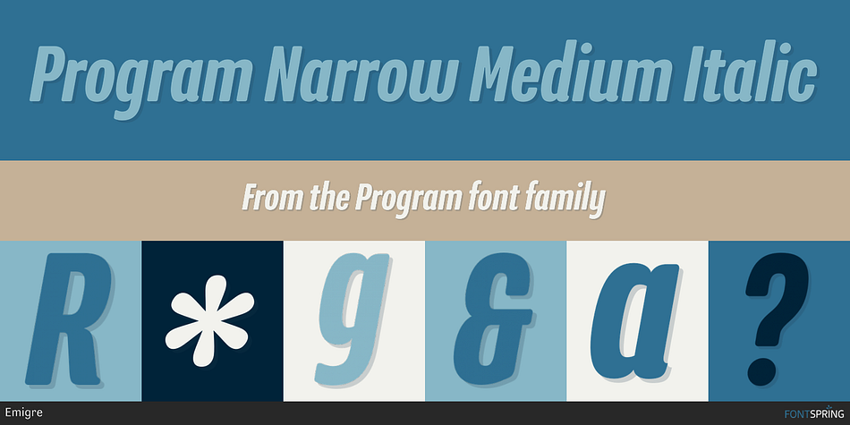 Program Narrow Font