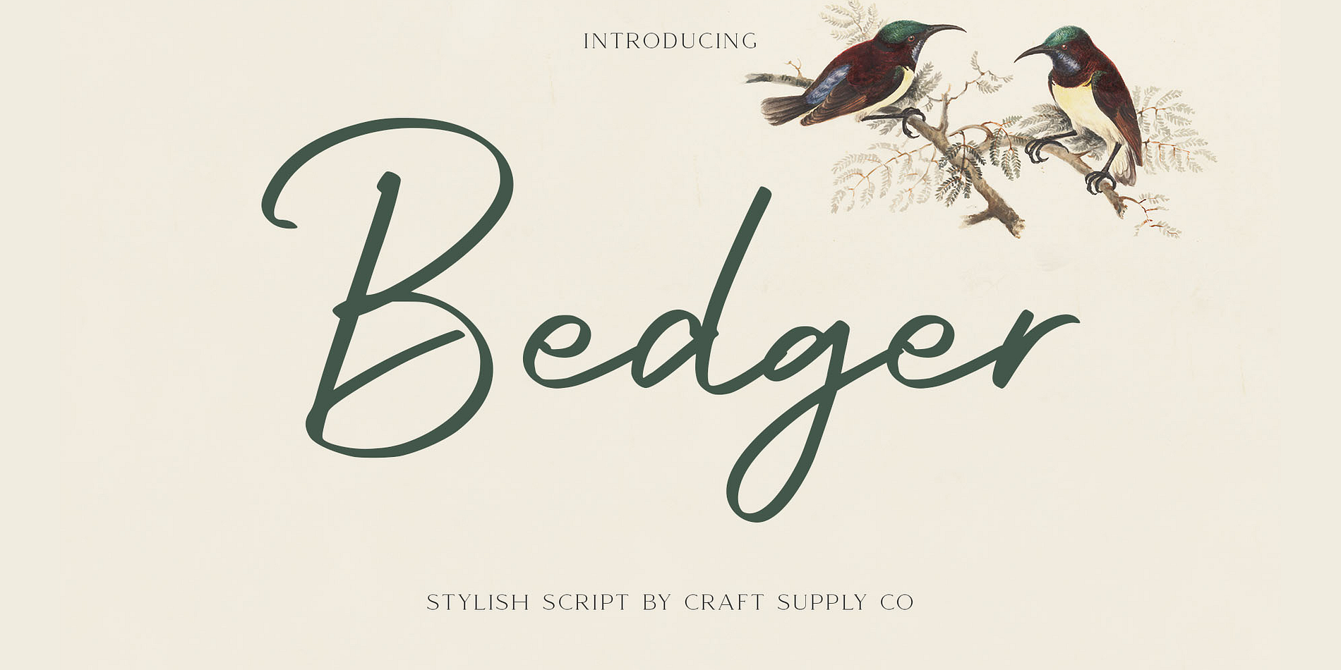 Bedger