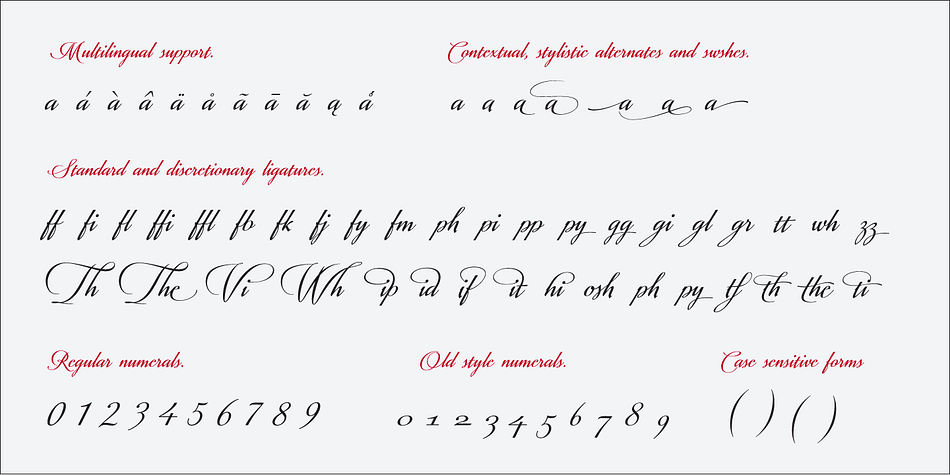 Displaying the beauty and characteristics of the Valentia font family.
