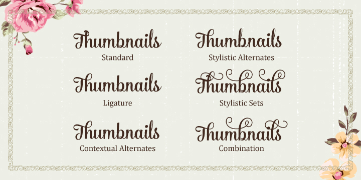 It makes it easy to match with other typefaces to create beautiful projects such as wedding invitations, vintage designs, greeting cards, posters, book covers, illustrations, etc.