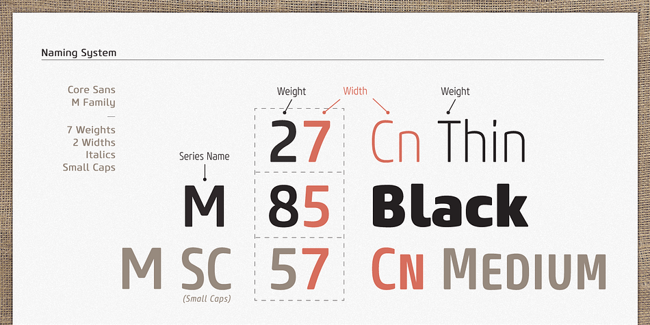 This font family has open and square letter shapes, and overall rounded finishes provide a soft and friendly appearance.