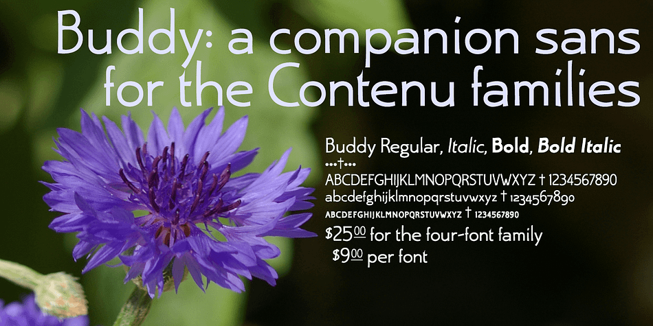 Displaying the beauty and characteristics of the Buddy font family.