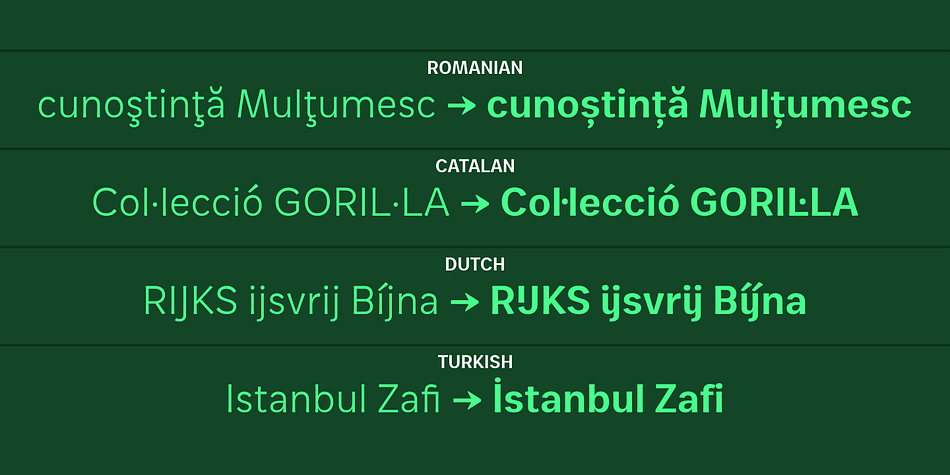 Zega Text font family example.