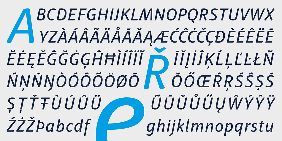 Highlighting the Haptic Basic font family.