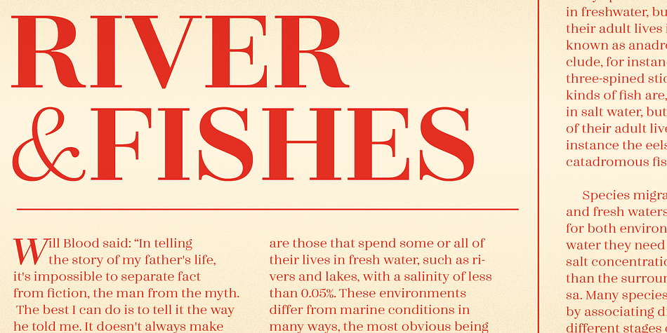 Emphasizing the popular Zahrah font family.