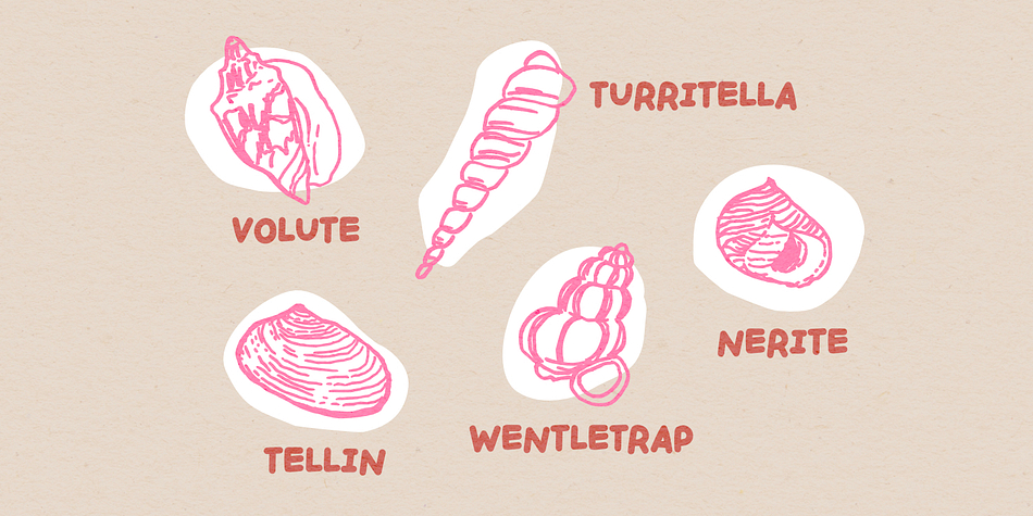 Handpicked Seashells Font