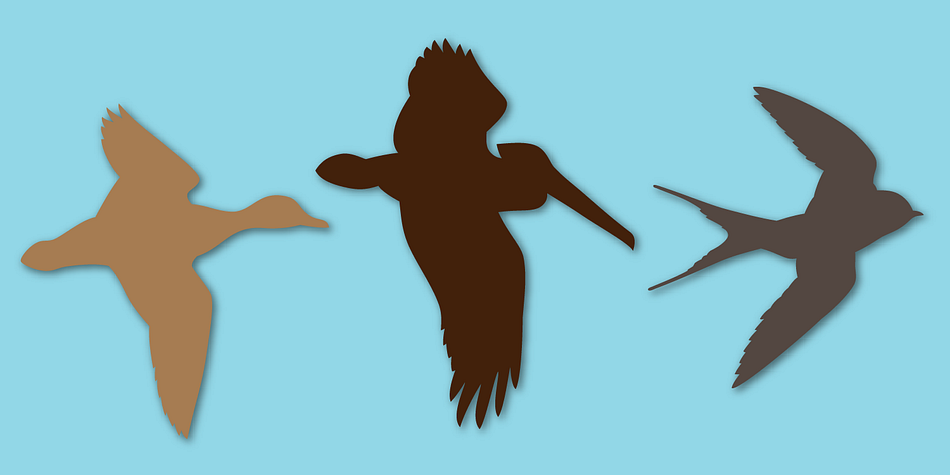 Displaying the beauty and characteristics of the Birds Flying font family.