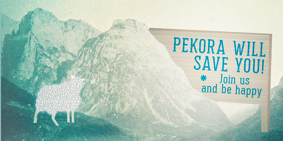 Pekora font family example.