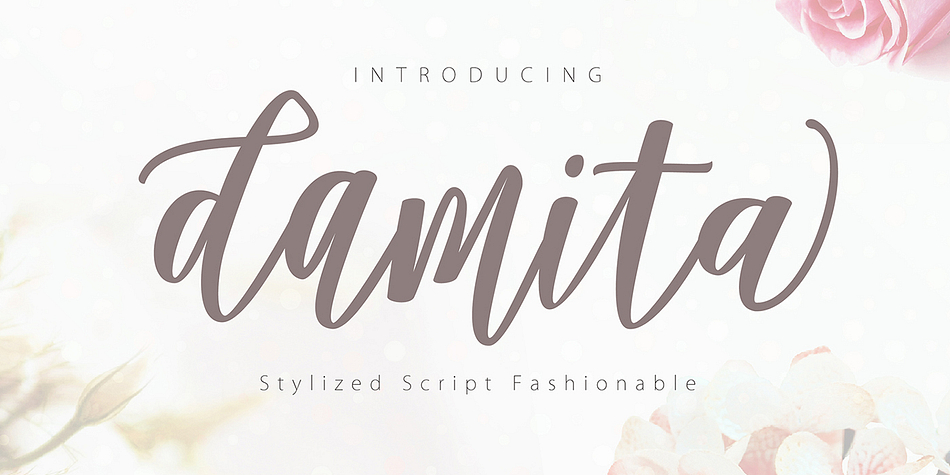 Introducing Damita Script!