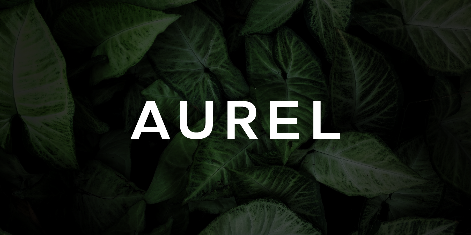 Aurel