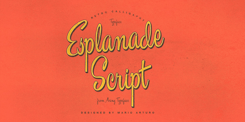 Esplanade Script is a retro calligraphy handwriting font.