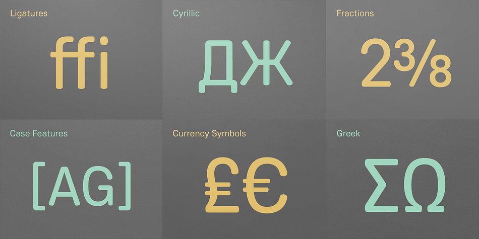 It supports WGL4, which provides a wide range of character sets (CE, Greek, Cyrillic and Eastern European characters).