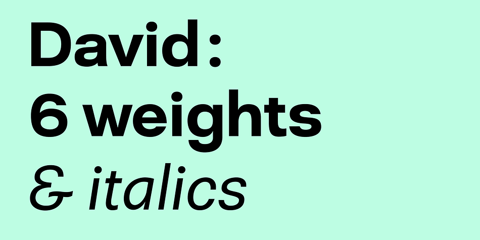 David is a sans-serif typeface, looking sturdy and stable but keeping a slingerly spirit, that fits with its foundry companions.