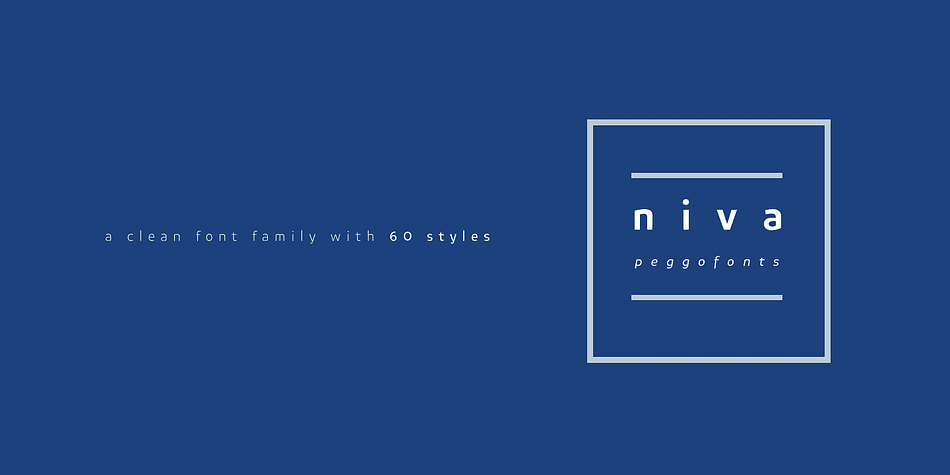 Niva is a display font family with 6 typographical groups in 10 weights each one, including a standard version, 2 italic widths, an alternative version and true small caps with italic version, too.