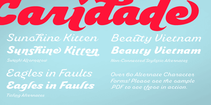 Caridade includes many useful OpenType features, including a set of non-connecting alternates, 40 ligatures, and two types of end letterforms. OpenType features include ornaments, swash endings, ending contextual alternates, discretionary ligatures, ligatures and three different stylistic sets filled with alternates.
