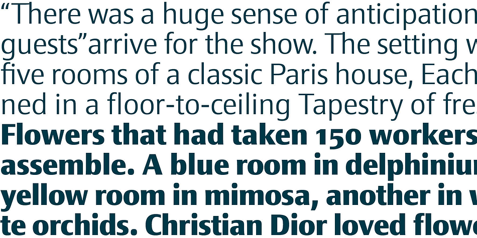 Highlighting the Epoca Classic font family.