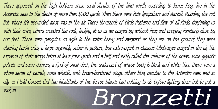 Highlighting the Bronzetti font family.