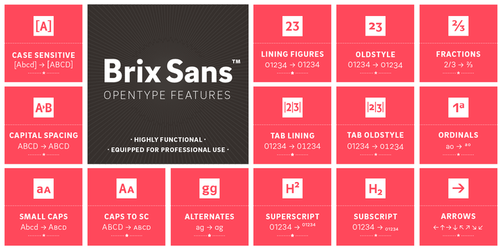 Displaying the beauty and characteristics of the Brix Sans font family.
