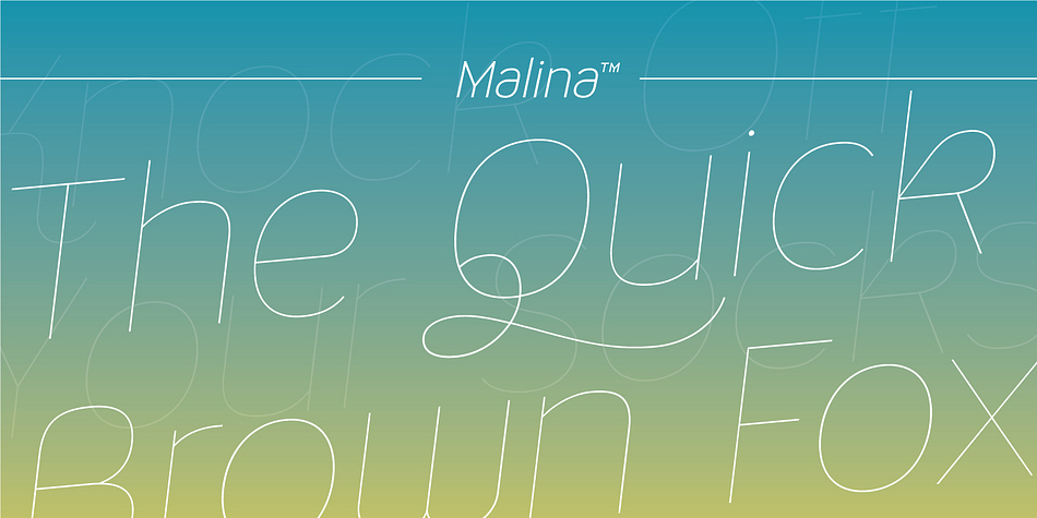 Malina is a sans-serif monoline typeface with some humanist touches creating a clear and legible typeface.