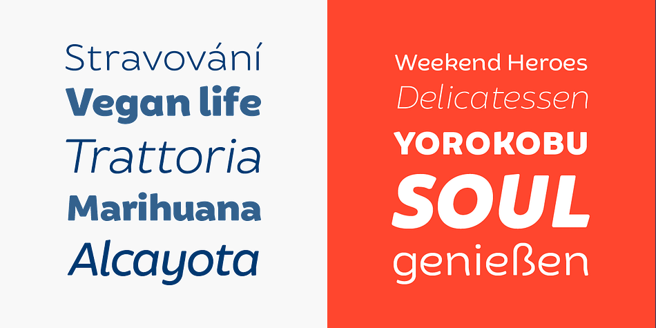 It took a long time, but thanks to my learning about type design gained over the years, I have finally been able to resume my project.