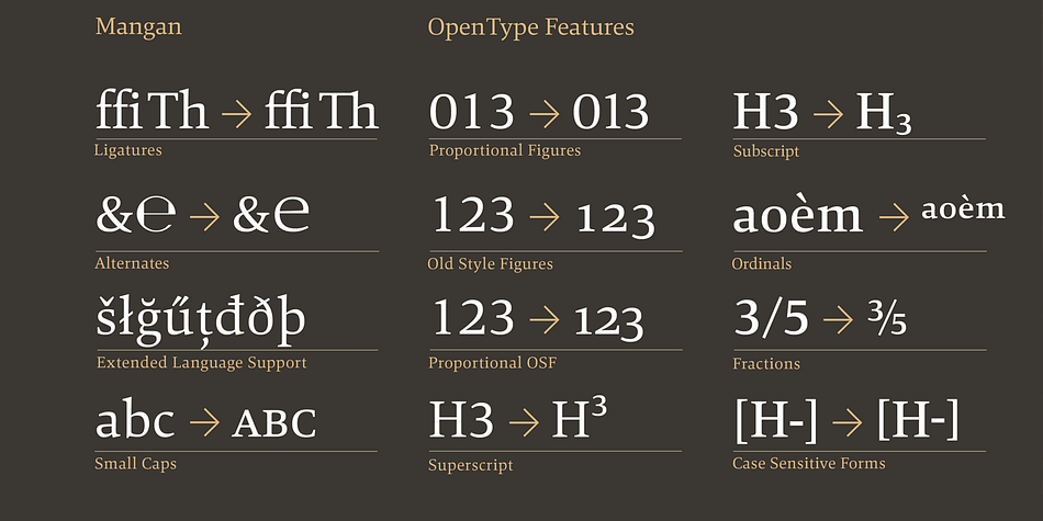 It comes in OpenType format with extended language support.