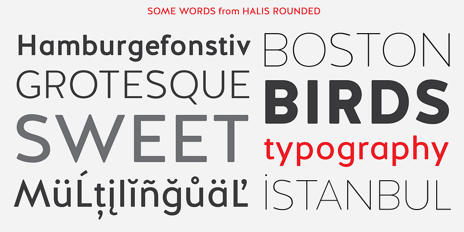 Halis Rounded is the smoother version of the Halis Grotesque family.