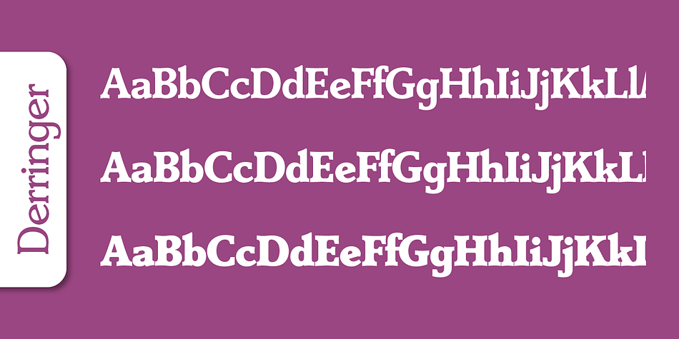 Emphasizing the popular Derringer Serial font family.