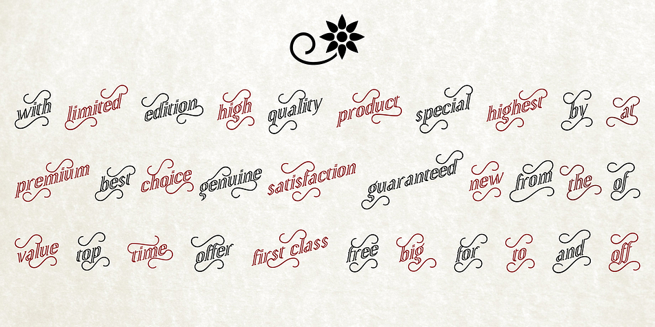 Yapa font family sample image.