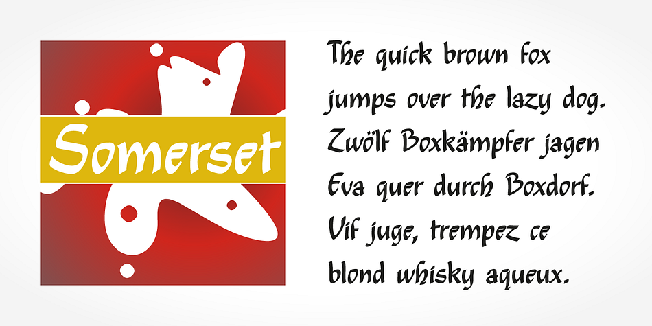 Emphasizing the popular Somerset Pro font family.