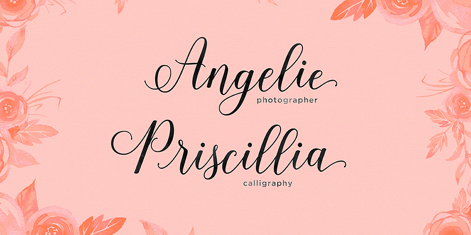 Highlighting the Shania Script font family.