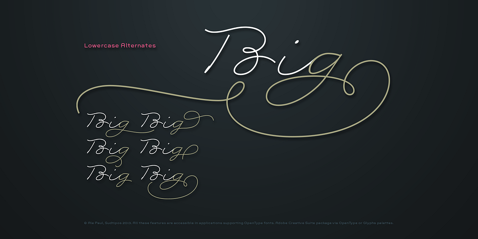 Rolling Pen is a five font, script family by Sudtipos.