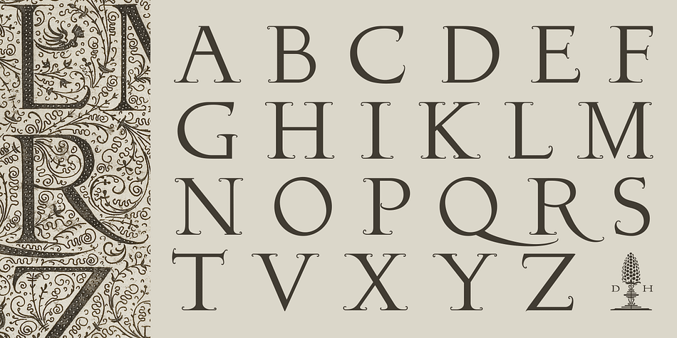 Fanciful convolution on the serif make it a bit fairy-tale like and cheerful.