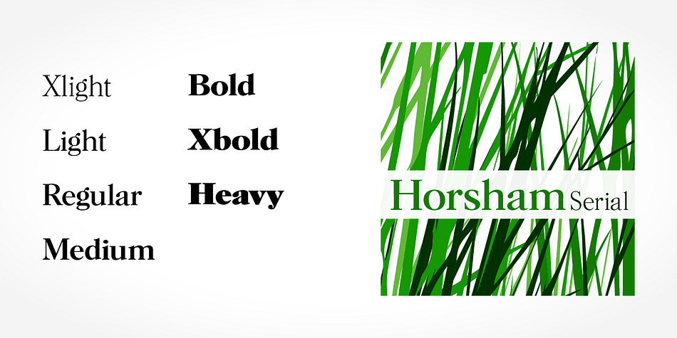 Highlighting the Horsham Serial font family.